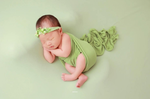 白山陕西助孕公司名单揭晓助孕行业新动向